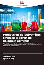 Production de polyphénol oxydase à partir de Rhizopus arrhizus