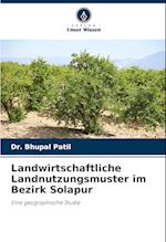 Landwirtschaftliche Landnutzungsmuster im Bezirk Solapur