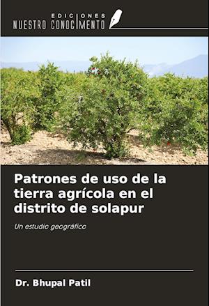 Patrones de uso de la tierra agrícola en el distrito de solapur