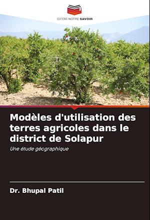 Modèles d'utilisation des terres agricoles dans le district de Solapur