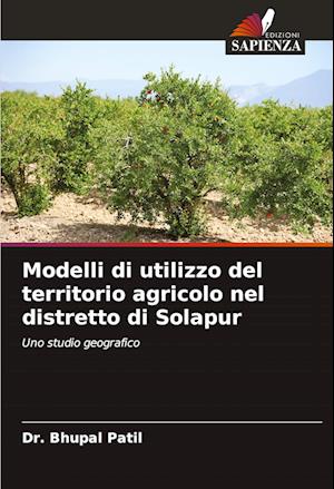 Modelli di utilizzo del territorio agricolo nel distretto di Solapur