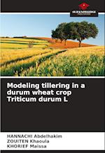 Modeling tillering in a durum wheat crop Triticum durum L