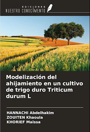 Modelización del ahijamiento en un cultivo de trigo duro Triticum durum L