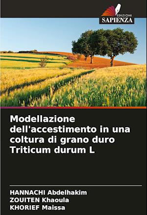 Modellazione dell'accestimento in una coltura di grano duro Triticum durum L