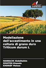 Modellazione dell'accestimento in una coltura di grano duro Triticum durum L