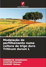 Modelação do perfilhamento numa cultura de trigo duro Triticum durum L