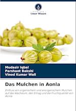 Das Mulchen in Aonla