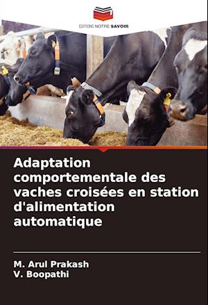 Adaptation comportementale des vaches croisées en station d'alimentation automatique