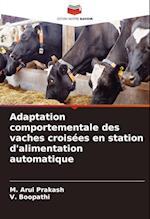 Adaptation comportementale des vaches croisées en station d'alimentation automatique