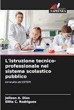 L'istruzione tecnico-professionale nel sistema scolastico pubblico