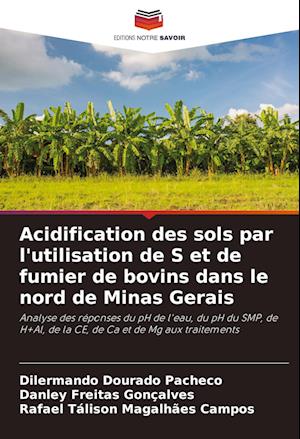 Acidification des sols par l'utilisation de S et de fumier de bovins dans le nord de Minas Gerais