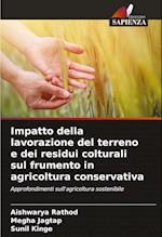 Impatto della lavorazione del terreno e dei residui colturali sul frumento in agricoltura conservativa