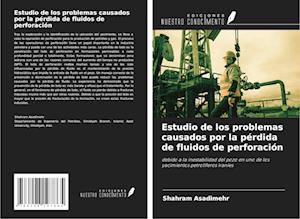 Estudio de los problemas causados por la pérdida de fluidos de perforación