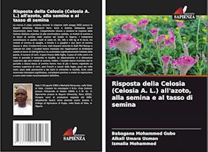 Risposta della Celosia (Celosia A. L.) all'azoto, alla semina e al tasso di semina