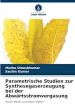 Parametrische Studien zur Synthesegaserzeugung bei der Abwärtsstromvergasung