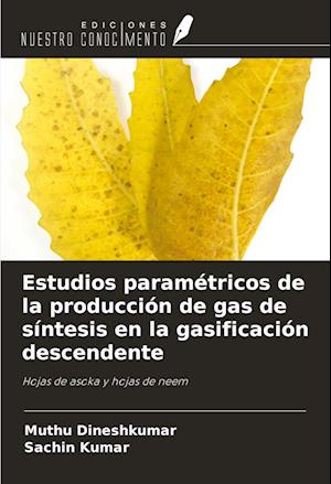 Estudios paramétricos de la producción de gas de síntesis en la gasificación descendente