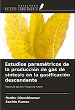 Estudios paramétricos de la producción de gas de síntesis en la gasificación descendente