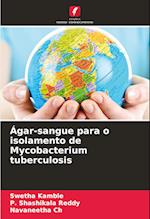 Ágar-sangue para o isolamento de Mycobacterium tuberculosis