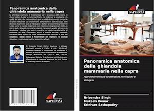 Panoramica anatomica della ghiandola mammaria nella capra