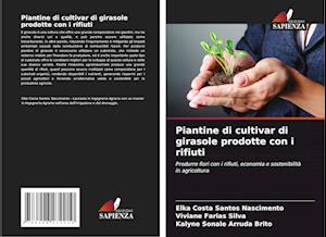 Piantine di cultivar di girasole prodotte con i rifiuti