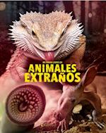 Mi gran libro de animales extraños