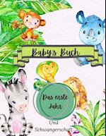Baby's Buch Das erste Jahr und Schwangerschaft