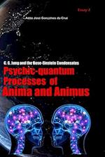 C. G. Jung and the Bose-Einstein Condensates: Psychic-Quantum Processes of Anima and Animus 