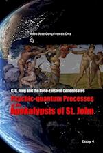 C. G. Jung and the Bose-Einstein Condensates: Psychic-quantum Processes of the Apokalypsis of St. John 