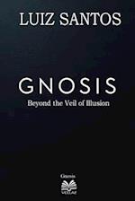 Gnosis - Beyond the Veil of Illusion