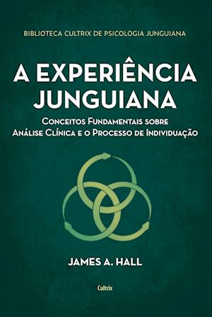 A experiência junguiana