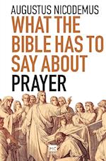 What the Bible Has To Say About Prayer