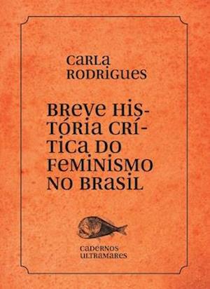 Breve história do feminismo no Brasil