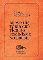 Breve história do feminismo no Brasil