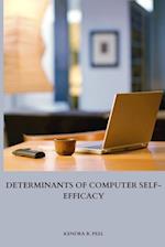 Determinants of Computer Self-Efficacy 