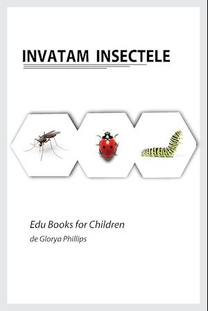 Invatam Insectele