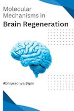 Molecular Mechanisms in Brain Regeneration 