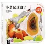 Wonderful Cave Book 4 - Little Mouse Is Lost