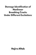 Damage Identification of Nonlinear  Breathing Cracks  Under Different Excitations