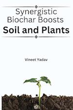 Synergistic Biochar Boosts Soil and Plants 