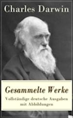 Gesammelte Werke