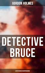 Detective Bruce: A Mysterious Disappearance