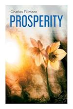 Prosperity: God Has Provided Prosperity for Every Home 