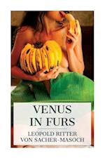 Venus in Furs