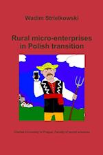 Rural micro-enterprises in Polish transition 