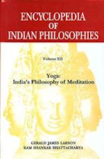 Encyclopedia of Indian Philosophies (Vol. 12)