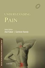 Understanding Pain