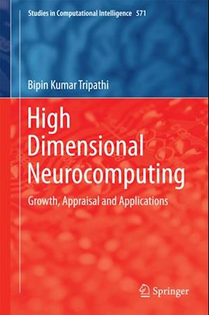 High Dimensional Neurocomputing