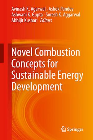 Novel Combustion Concepts for Sustainable Energy Development