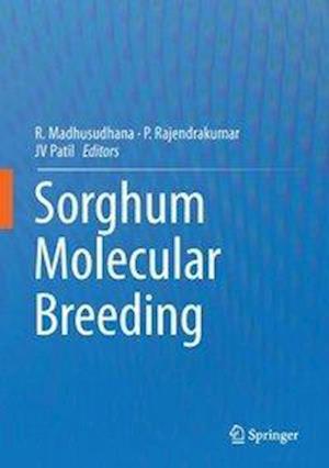 Sorghum Molecular Breeding