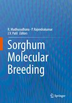 Sorghum Molecular Breeding